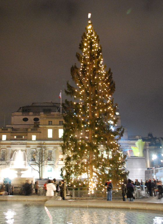 هل تعرفون كيف بدأت شجرة الكريسماس؟ تعرفوا إلى حكاية شجرة الميلاد صورة رقم 7 هل تعرفون كيف بدأت شجرة الكريسماس؟ تعرفوا إلى حكاية شجرة الميلاد صورة رقم 7