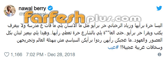 الإعلامي هشام حداد يهاجم اليسا بقسوة ويسخر منها فيتعرض لهجوم حاد! صورة رقم 2
