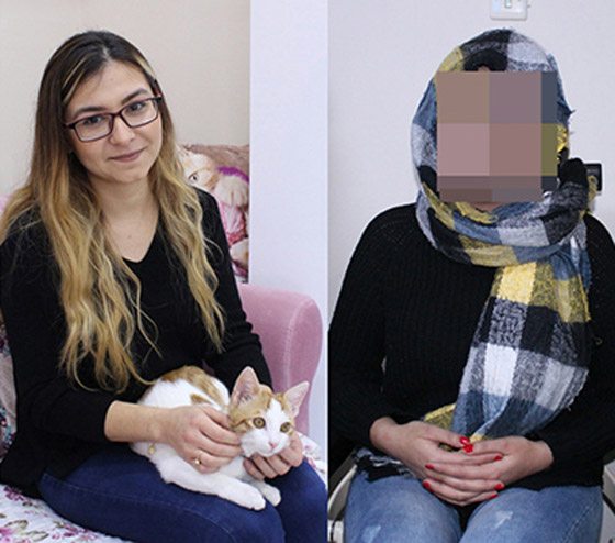 بالفيديو والصور.. القطط تتسبب في فقدان بصر تركيتين صورة رقم 3