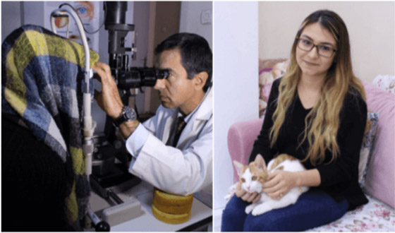 بالفيديو والصور.. القطط تتسبب في فقدان بصر تركيتين صورة رقم 5