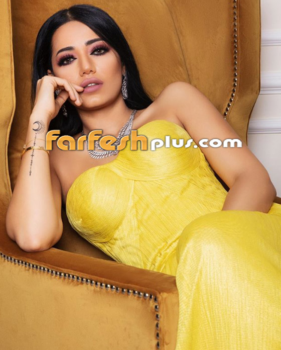 فيديو أغنية (وعد مني) لرحمة رياض تجذب النجوم محمد عساف، أحلام و... صورة رقم 8