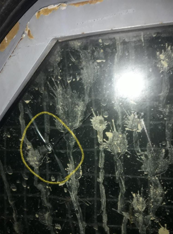 الأردن: بعد مقتل شاب عشريني، اشتباكات بالرصاص الحي بين الشرطة والمواطنين صورة رقم 19
