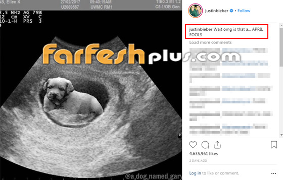 فيديو: جاستن بيبر يعلن حمل زوجته ثم يصفعها في الشارع! ما الحكاية؟ صورة رقم 3
