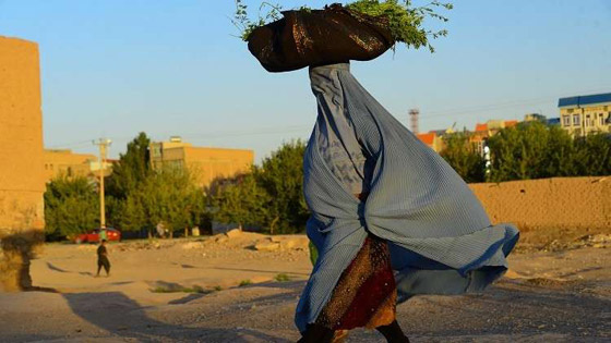 3 دول عربية بين أكثر 8 دول تعرّضاً للمجاعات في العالم صورة رقم 6