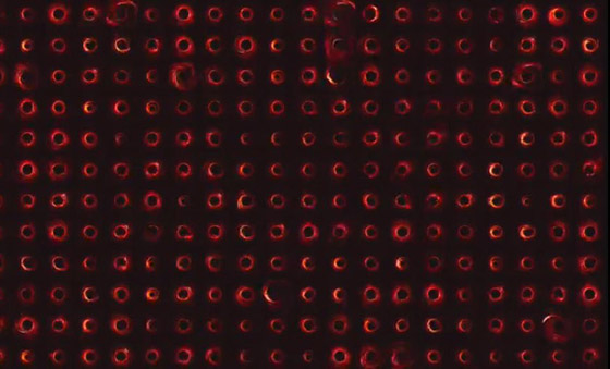 أكبر إنجاز فلكي بالتاريخ: طالبة تقوم بالتقاط أول صورة حقيقية لثقب أسود صورة رقم 15 أكبر إنجاز فلكي بالتاريخ: طالبة تقوم بالتقاط أول صورة حقيقية لثقب أسود صورة رقم 15