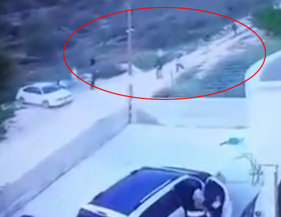 فيديو صادم: مستوطنون يهود يعتدون على عائلة فلسطينية صورة رقم 2