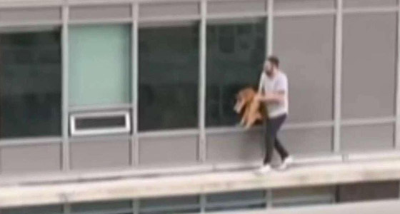 بالفيديو: رجل يخاطر بحياته لإنقاذ قطته المدللة صورة رقم 3