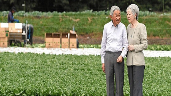 بماذا سينشغل إمبراطور وإمبراطورة اليابان بعد النزول عن العرش؟ صورة رقم 5