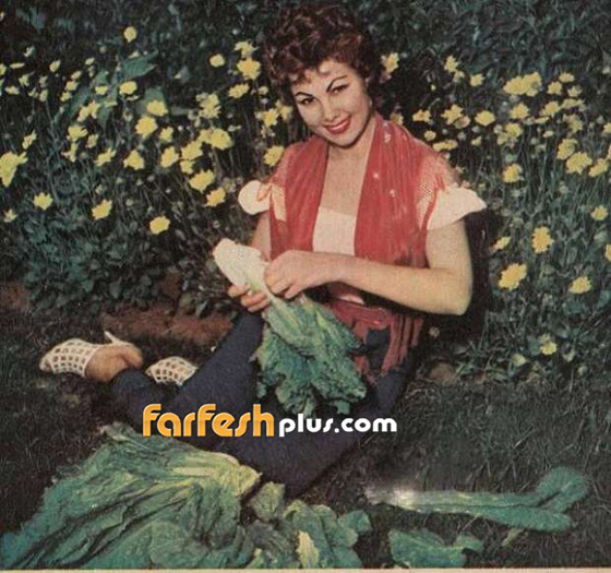 بالفيديو والصور: نجوم الزمن الجميل يحتفلون بشم النسيم  صورة رقم 4
