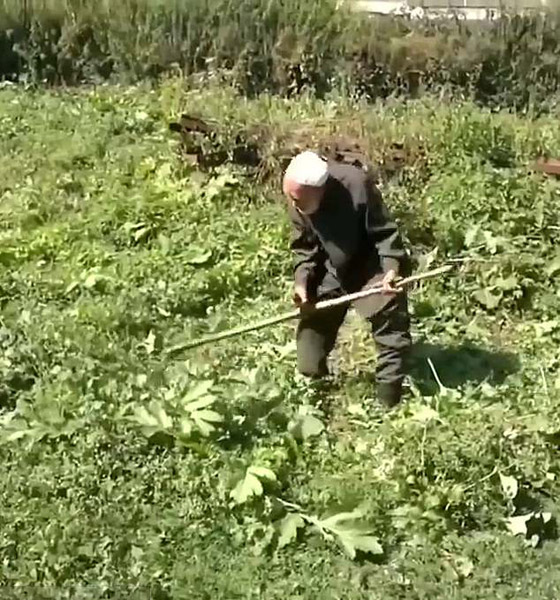 أكبر رجل بالعالم (123 عاما) يكشف سر طول عمره قبل أن يفارق الحياة صورة رقم 4
