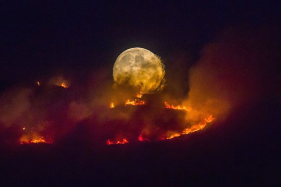 مجموعة من أجمل الصور في الصحافة البريطانية خلال العامين الماضيين  صورة رقم 1