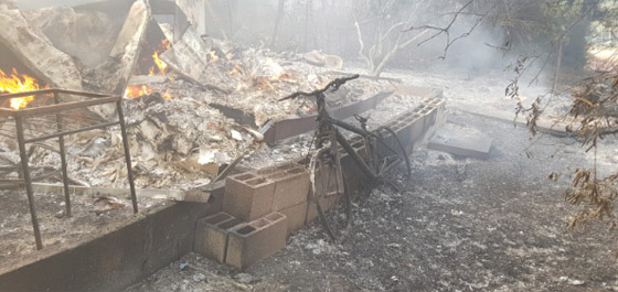 إسرائيل تستنجد بالدول لمساعدتها في إخماد الحرائق الضخمة! فيديو وصور صورة رقم 7