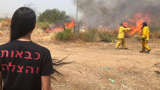 إسرائيل تستنجد بالدول لمساعدتها في إخماد الحرائق الضخمة! فيديو وصور صورة رقم 21