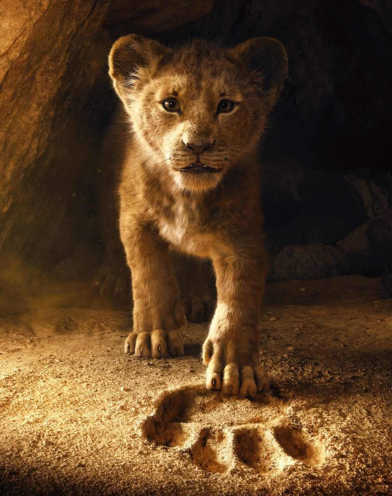 بالصور: رسوم متحركة شهيرة تتحول إلى أفلام سينمائية ناجحة صورة رقم 12