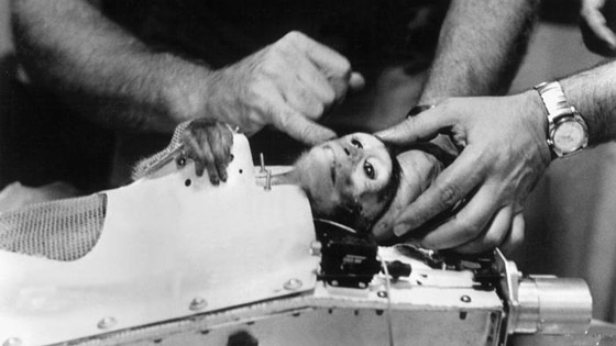 أبرز محطات سفر الحيوانات إلى الفضاء بالذكرى الـ60 لوصول أول قرد صورة رقم 1