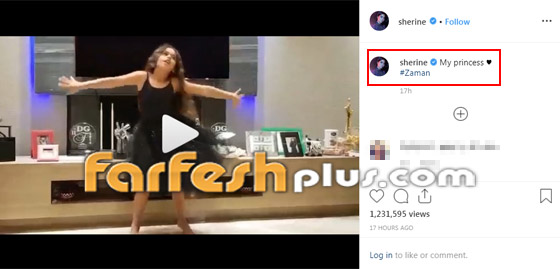 فيديو ابنة شيرين عبد الوهاب ترقص بمهارة على أغنية والدتها (زمان) صورة رقم 1