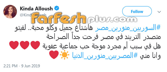 كيف رد نجوم مصر على حملة الهجوم على السوريين؟ صورة رقم 5