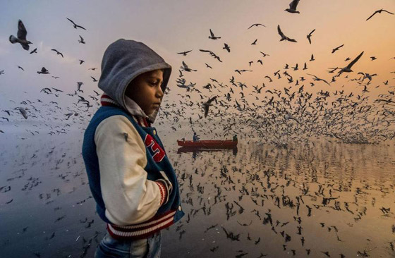 أبرز وأجمل الصور الفائزة بجائزة ناشيونال جيوغرافيك لعام 2019 صورة رقم 19