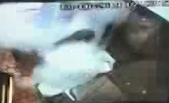 رش موظفة ماكدونالدز بطفاية حريق عقب شجار على سعر شطيرة برغر! صورة رقم 2