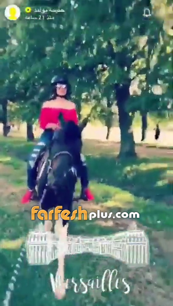  بالفيديو: الإعلامية حليمة بولند تتدلع على الخيل ثم تسقط أرضا صورة رقم 5