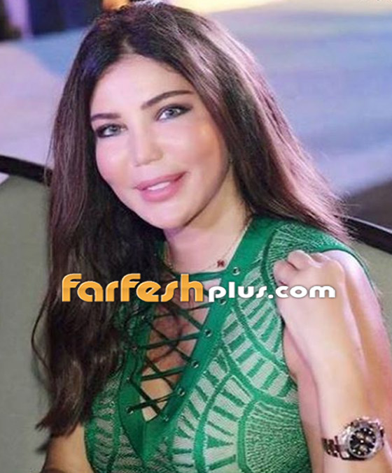 فيديو: لماذا اشتعلت الحرب بين هيفاء وهبي ومي حريري؟ اتهامات من العيار الثقيل! صورة رقم 10