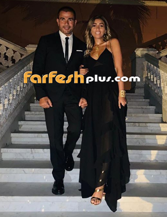 عمرو دياب ينشر لأول مرة صورة له مع دينا الشربيني هل سيعلن ارتباطهما؟ صورة رقم 4