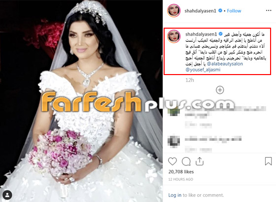 صور وفيديو: الفنانة العراقية شهد الياسين تنشر لقطات من حفل زفافها صورة رقم 2