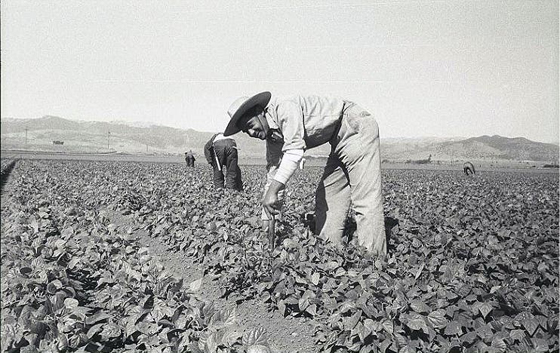 من هو السيناتور الذي جرّم اجتياز المهاجرين المكسيكيين الحدود الأمريكية؟ صورة رقم 6