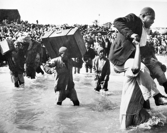 إسرائيل تحاول حجب وثائق النكبة لإخفاء جرائمها عام 1948! صورة رقم 5
