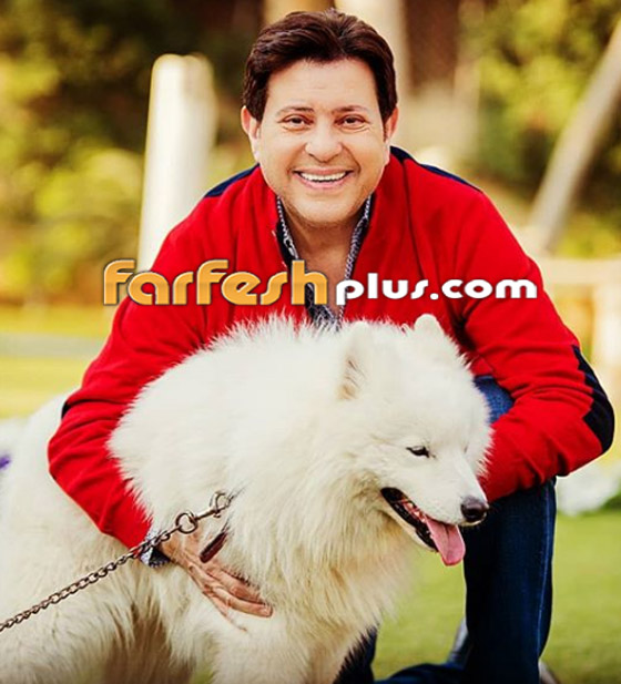 هجوم حاد على هاني شاكر بعد ان حاول منع أغاني المهرجانات! صورة رقم 4