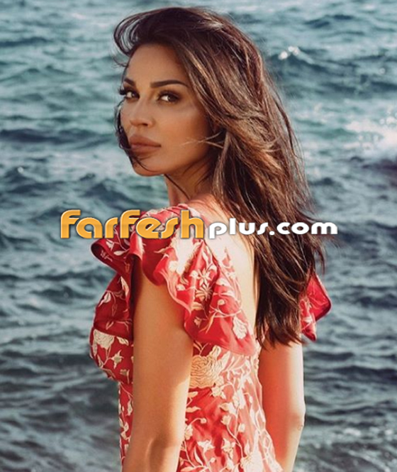 بالفيديو: نادين نسيب نجيم ترقص مع ابنتها: “فرخ البط عوّام” صورة رقم 10