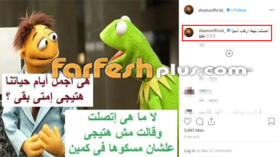 رسائل مبطنة من شمس الكويتية.. لمن قالت (دنب الكلب أعوج)؟ صورة رقم 1