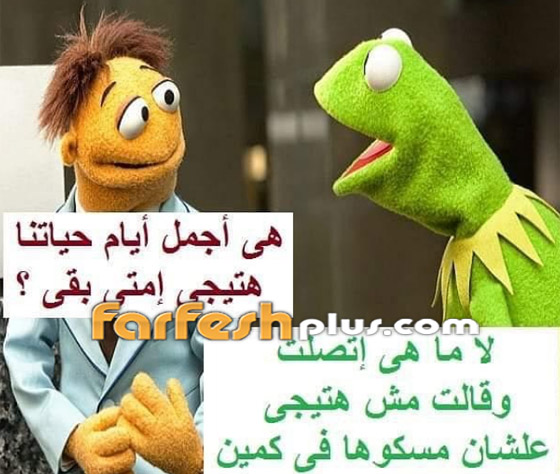 رسائل مبطنة من شمس الكويتية.. لمن قالت (دنب الكلب أعوج)؟ صورة رقم 3