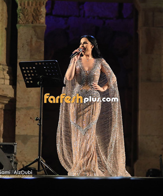 بالفيديو والصور: نائب أردني يهاجم ديانا كرزون بسبب فستانها الشفاف صورة رقم 12