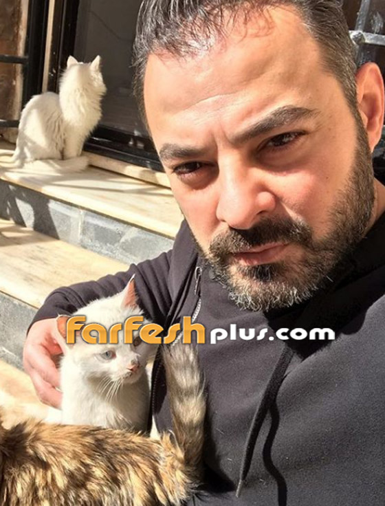 هل تذكرون نجم سوبر ستار الوسيم شادي أسود؟ شاهدوا كيف أصبح الآن! صورة رقم 6