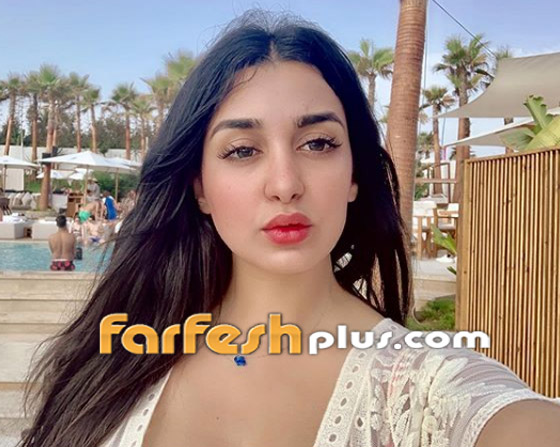 من لبنان وتونس والمغرب والأردن: نجوم جدد يشدّون أنظار المصريين صورة رقم 4