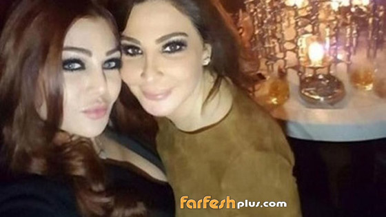 هيفاء وهبى تكشف الأسباب الحقيقية لـ اعتزال إليسا صورة رقم 1