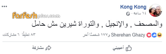 شيرين عبد الوهاب تدعم عاصي الحلاني وتتجاهل شائعات إسقاط حملها صورة رقم 3