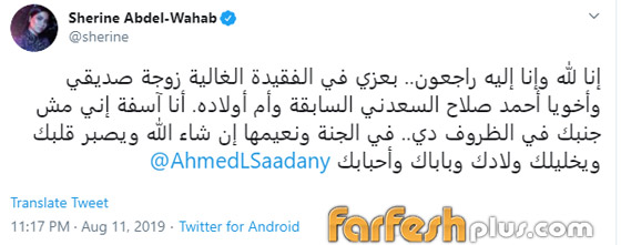 شيرين عبد الوهاب تدعم عاصي الحلاني وتتجاهل شائعات إسقاط حملها صورة رقم 6