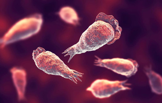 كائن مميت يتسلل إلى دماغ فتاة أثناء السباحة ويفتك بها في 7 أيام! صور صورة رقم 9
