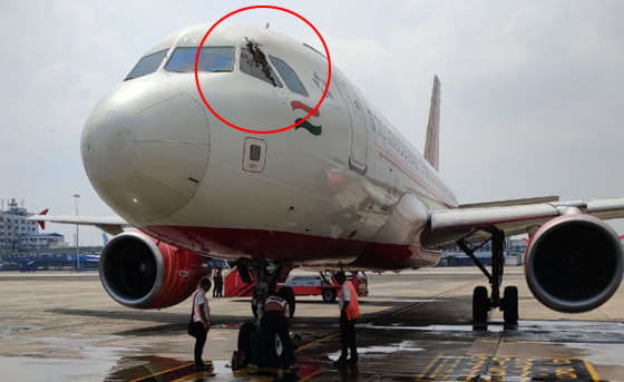 سرب من النحل يعيق إقلاع رحلة طيران هندية لساعات ويهاجم الموظفين! صورة رقم 4
