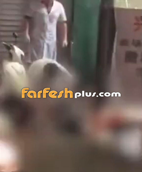 بالفيديو: مصرع امرأة تعرضت لصعقة كهربائية أثناء سيرها في المياه صورة رقم 4