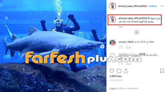 بالفيديو والصور: أحمد سعد يغوص مع أسماك القرش في تجربة فريدة صورة رقم 2