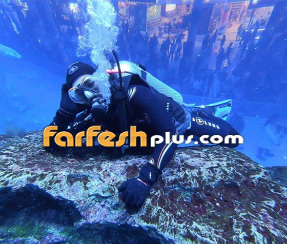 بالفيديو والصور: أحمد سعد يغوص مع أسماك القرش في تجربة فريدة صورة رقم 6