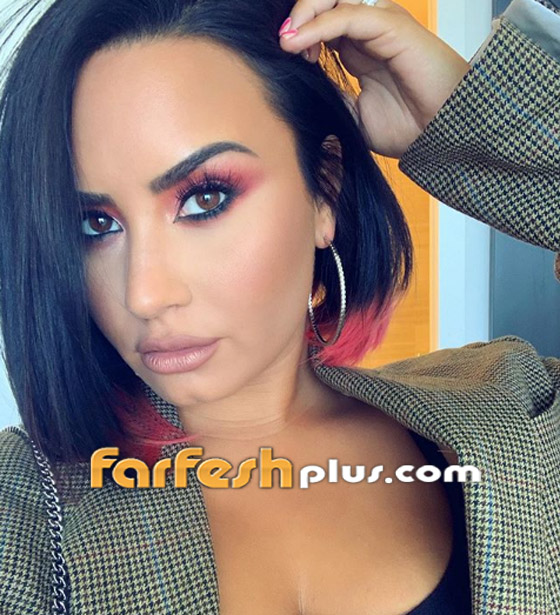المغنية الأمريكية ديمي لوفاتو بعد زيارتها لإسرائيل: آسفة.. لم أكن أعلم! صورة رقم 9