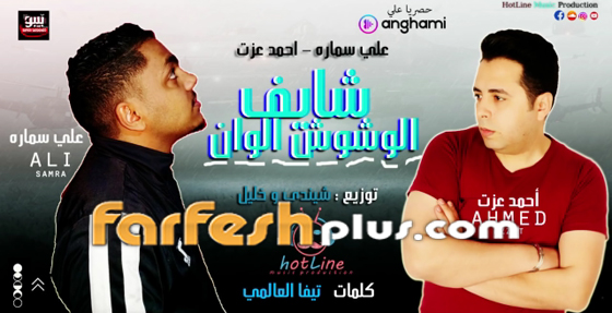 محاربة مصر لأغاني المهرجانات تدفع منظمات حقوقية لرفع شعارات: «يحيا الفن المنحط» صورة رقم 6