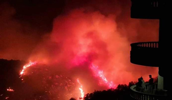 فيديوهات مؤلمة تدمي القلب.. لبنان يحترق والإطفاء خارج الخدمة! صورة رقم 13