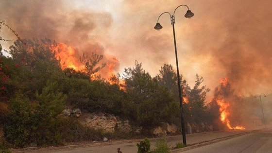 فيديوهات مؤلمة تدمي القلب.. لبنان يحترق والإطفاء خارج الخدمة! صورة رقم 5