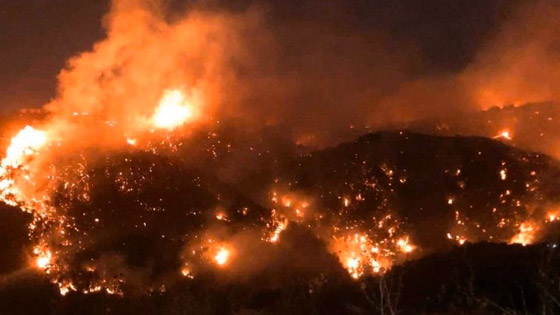 فيديوهات مؤلمة تدمي القلب.. لبنان يحترق والإطفاء خارج الخدمة! صورة رقم 2