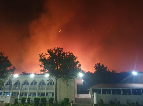 فيديوهات مؤلمة تدمي القلب.. لبنان يحترق والإطفاء خارج الخدمة! صورة رقم 18
